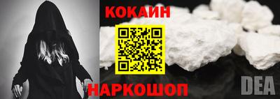 шишки Кандалакша