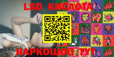 PSILOCYBIN Канаш