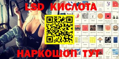 шишки Кандалакша