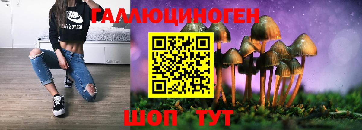 Ликино-Дулёво  Псилоцибиновые грибы Cubensis  Вход с VPN 